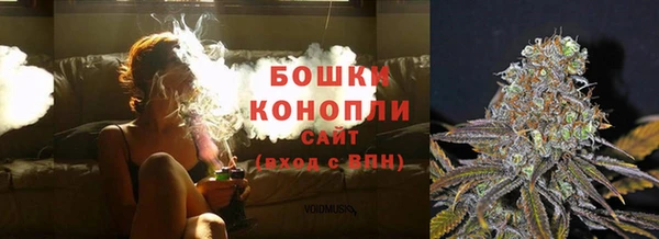 PSILOCYBIN Осинники